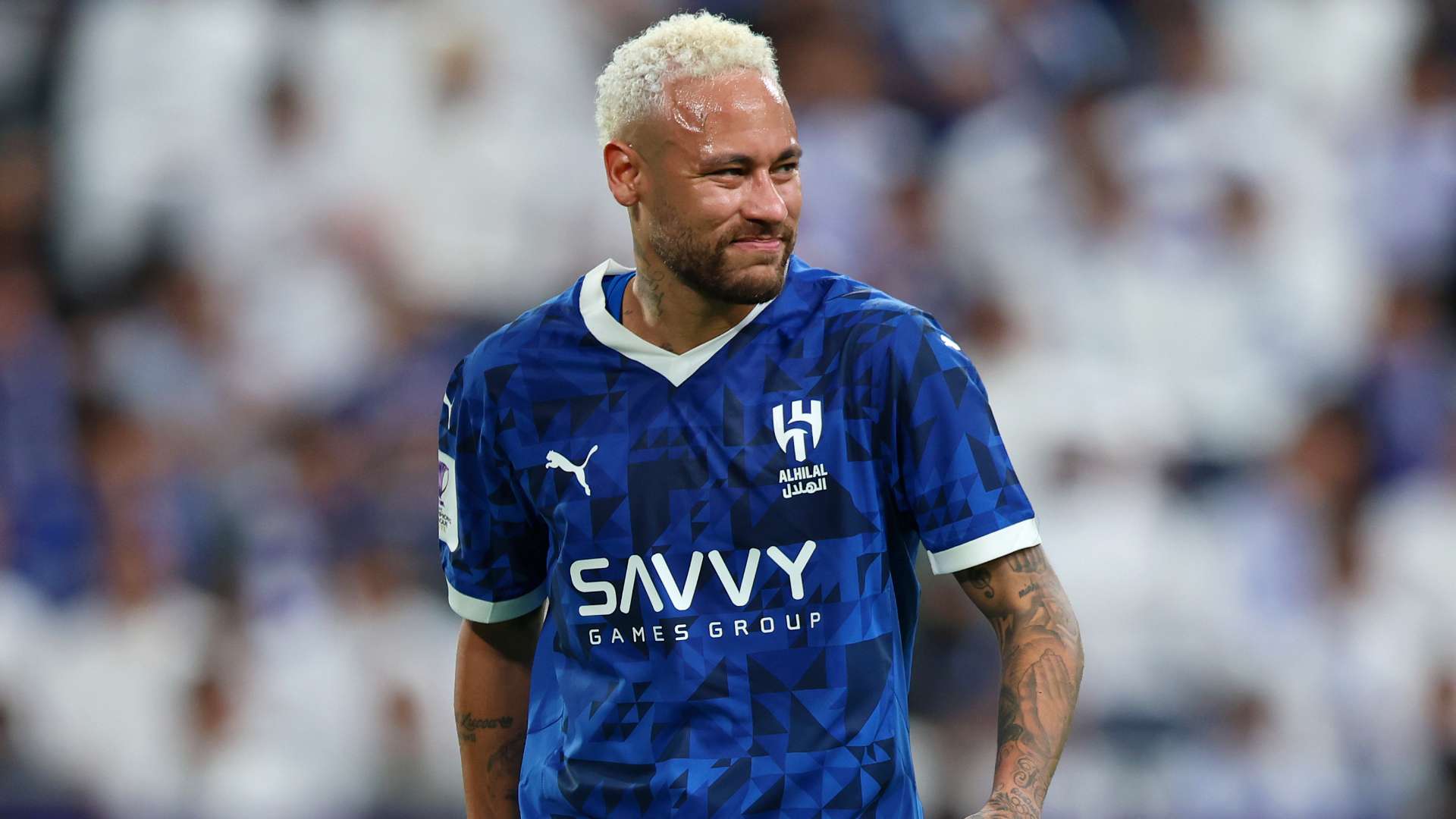 迪马特奥 迪马特奥