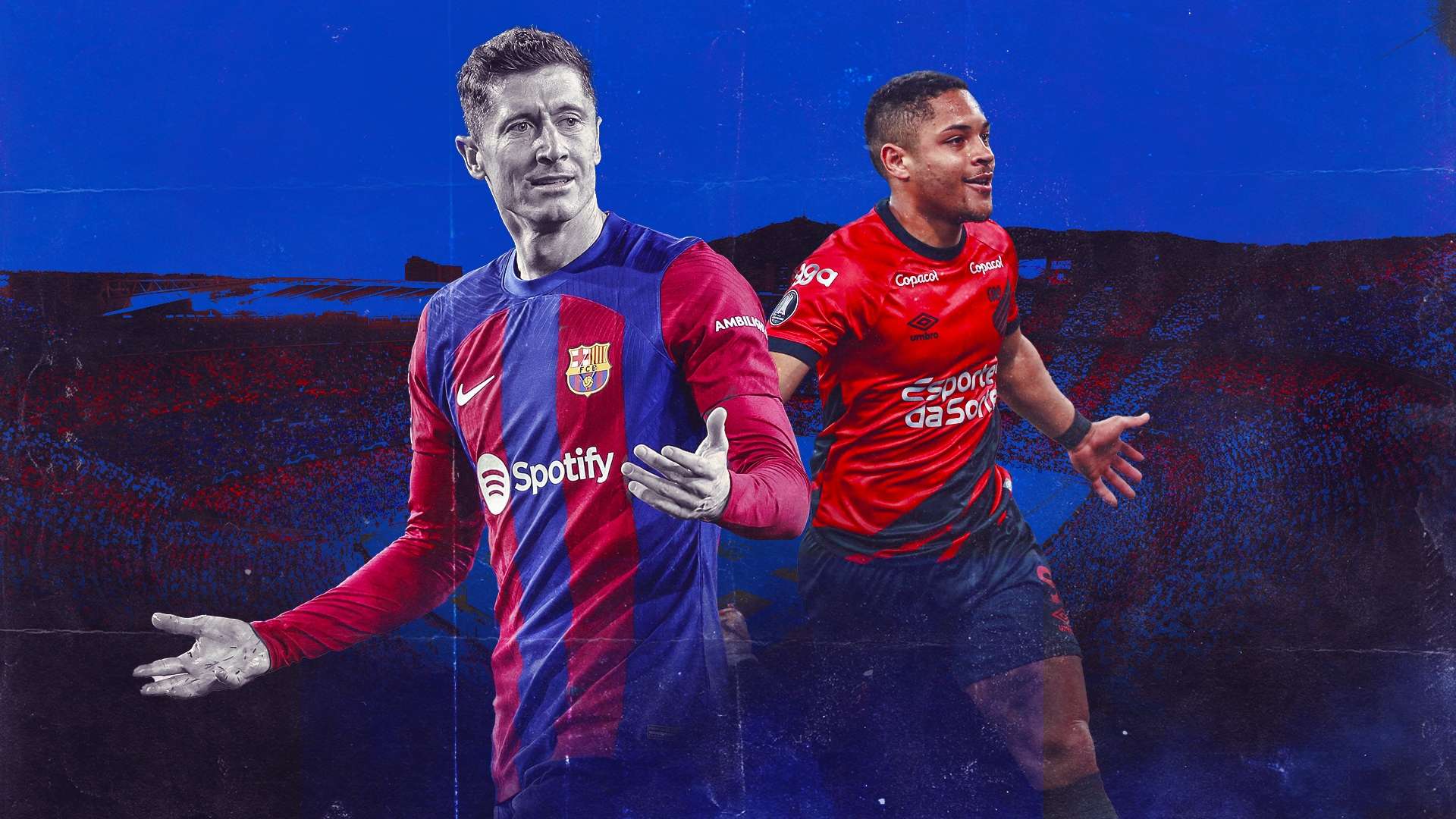 提供了重要 提供了重要